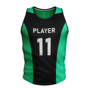 Vestibulum dolor eleifend